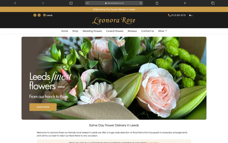 Leonora Rose Website