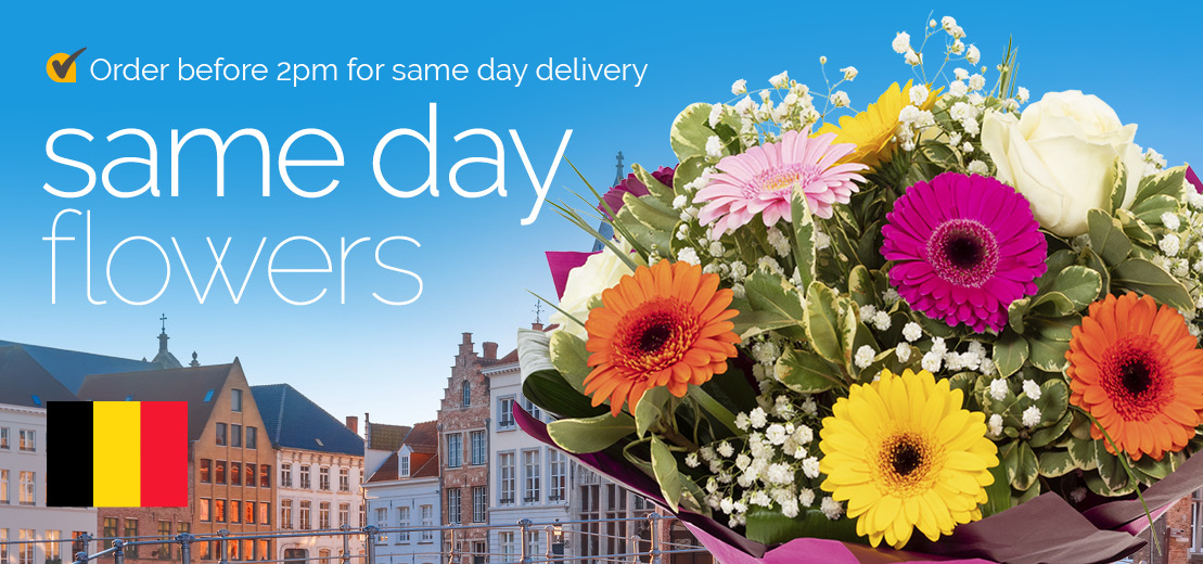 Sameday flowers delivered in Belgium