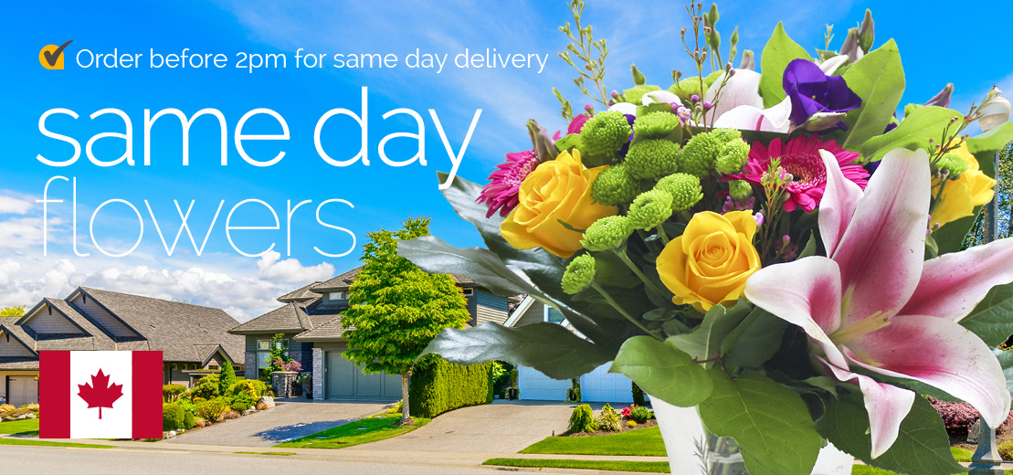 Sameday flowers delivered in Canada