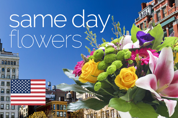Sameday flowers delivered in USA