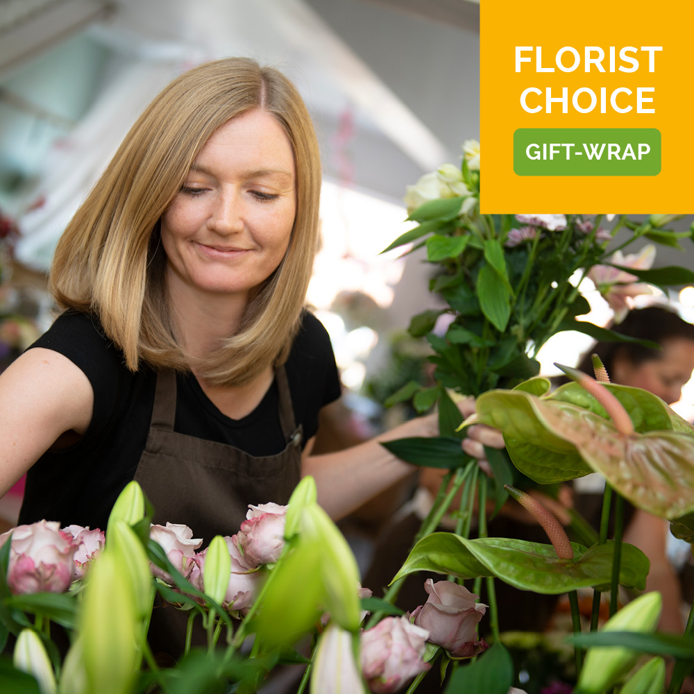  Order Florist Choice Gift-Wrap flowers