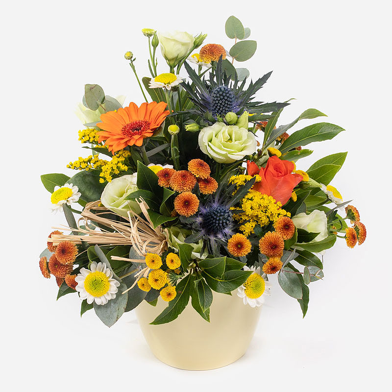  Order Pot of Nature
 flowers
