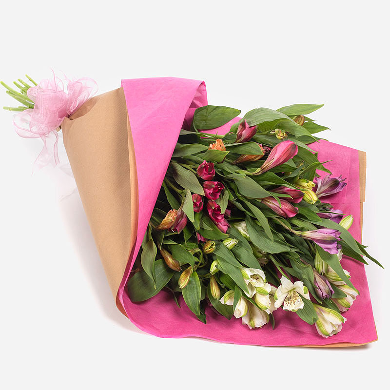 Order Wrap of Colour flowers