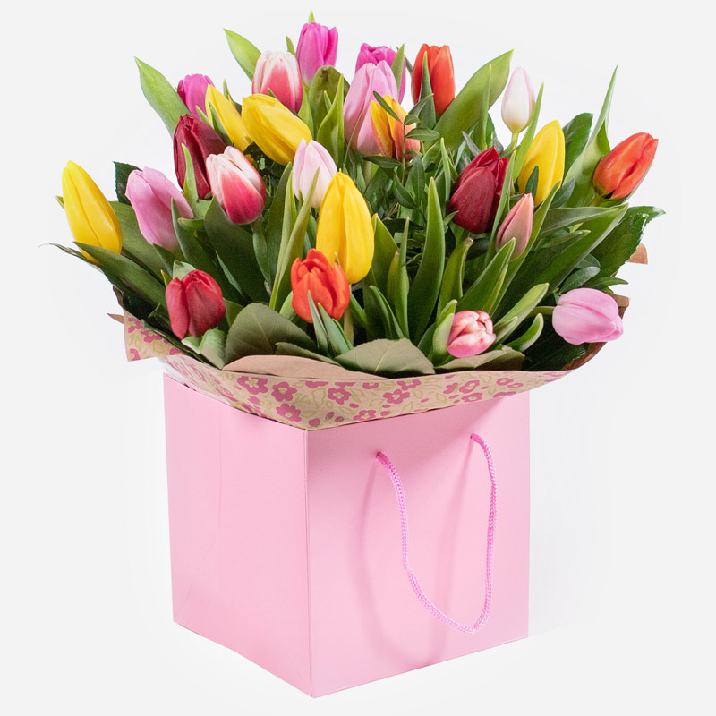  Order Tulip Temptations flowers