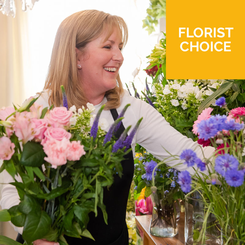  Order Mother`s Day Florist Choice flowers