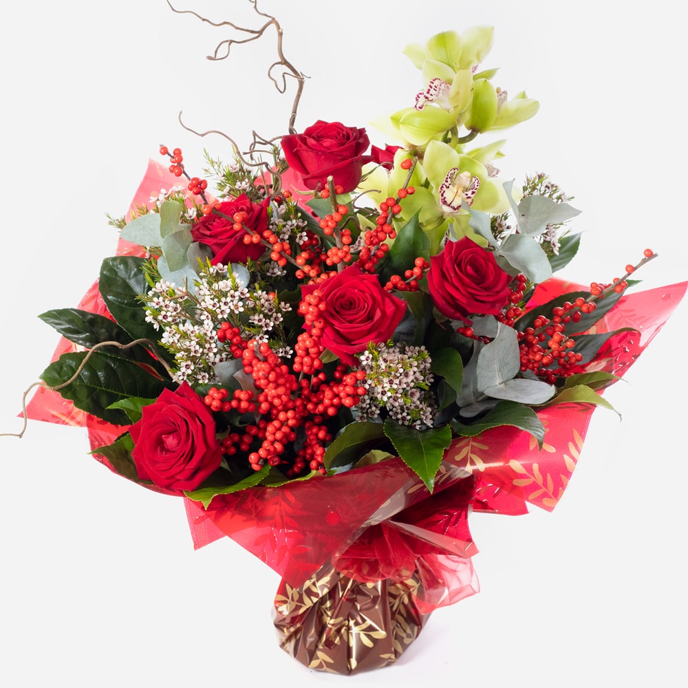  Order Christmas Sensation flowers