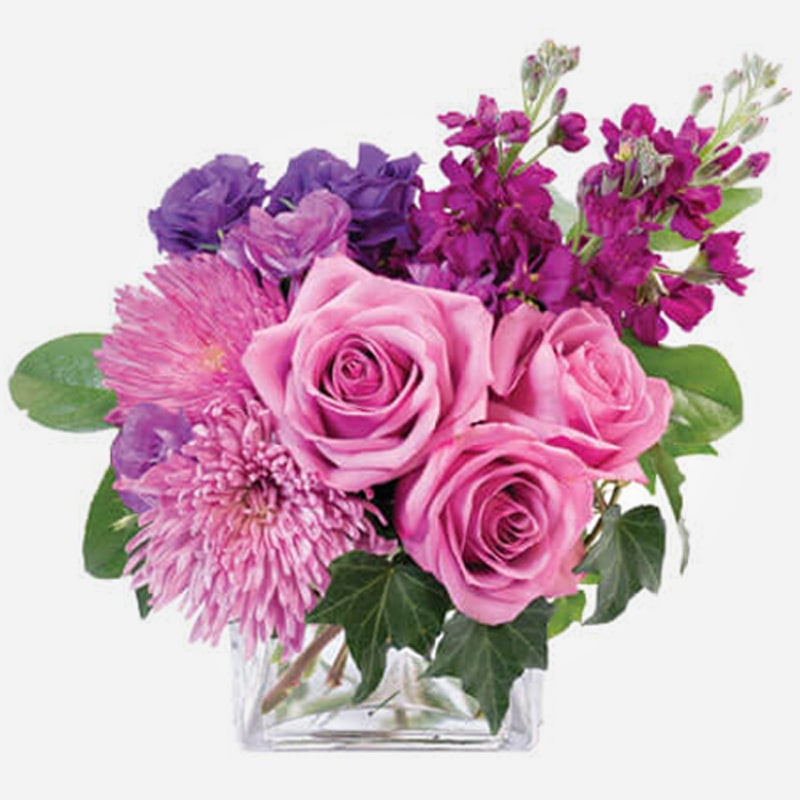  Order Purple Bliss flowers