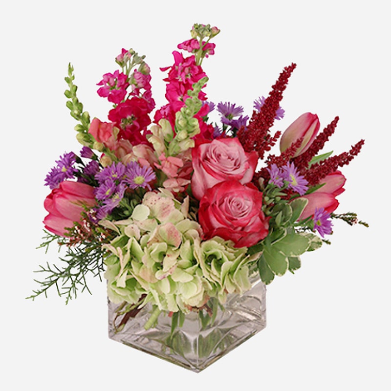  Order Lively and Luscious flowers