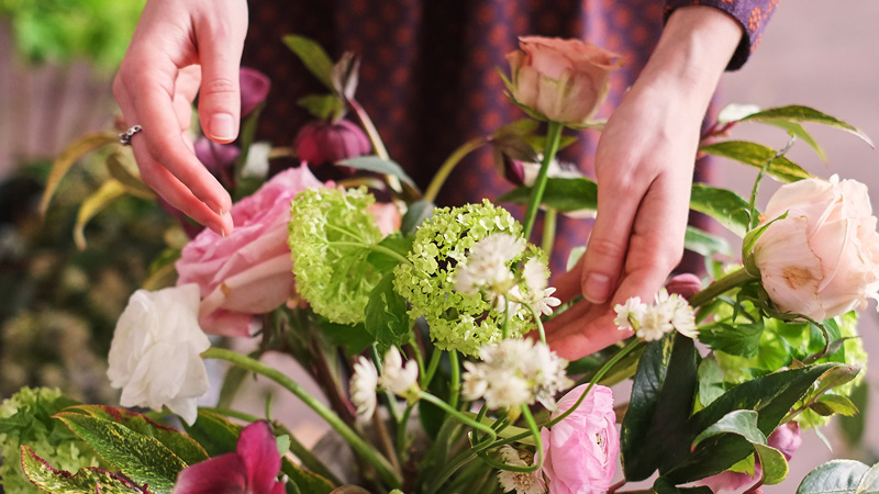 Flower care tips for fresh flowers in Belgium.