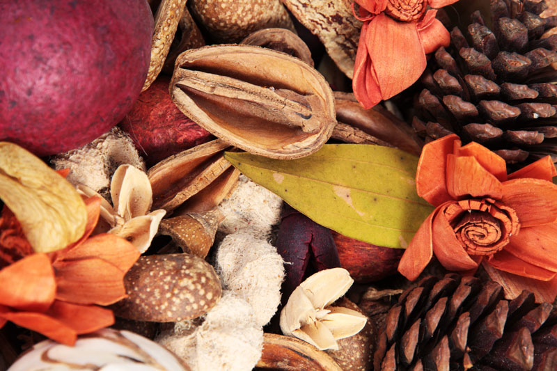 Potpourri Closeup