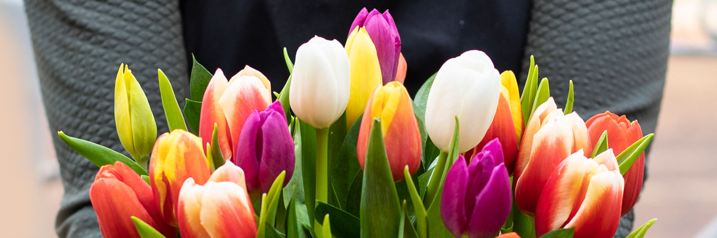 Seven steps to better tulips